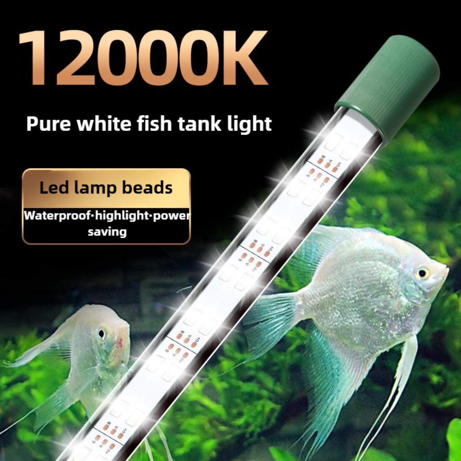 Planted Aquarium Youtube - LED Aquarium Licht Buis 25W Aquarium