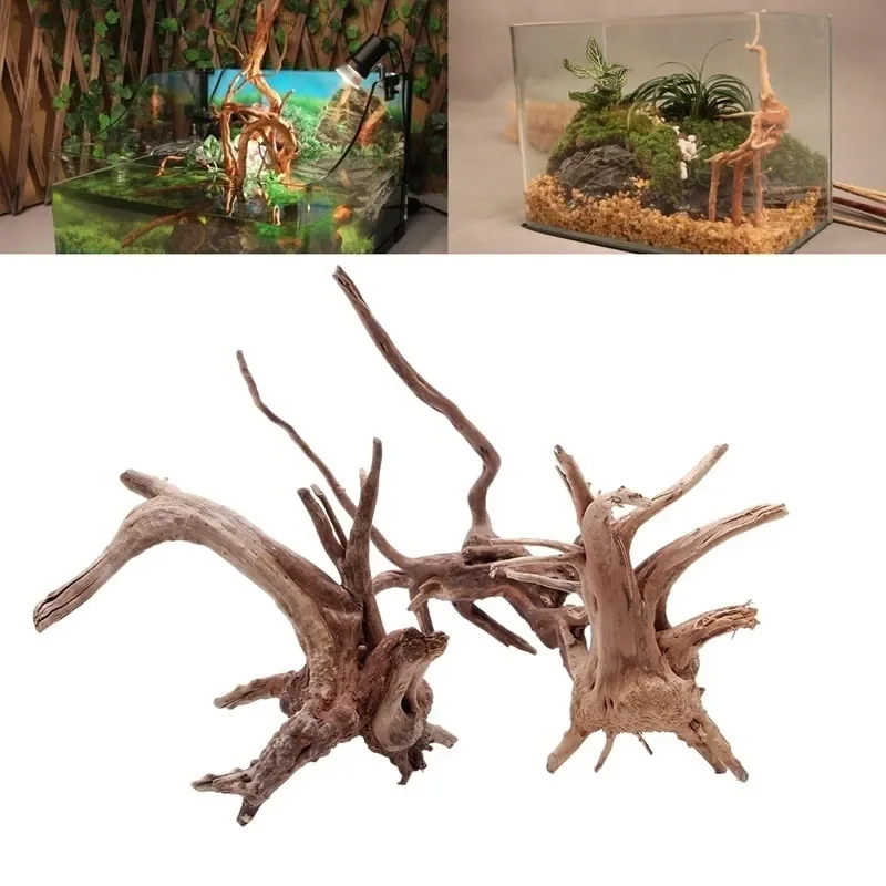 Aquarium Plant Growing - Natuurlijke Boomstam Drijfhout Aquarium Aquarium Reptiel
