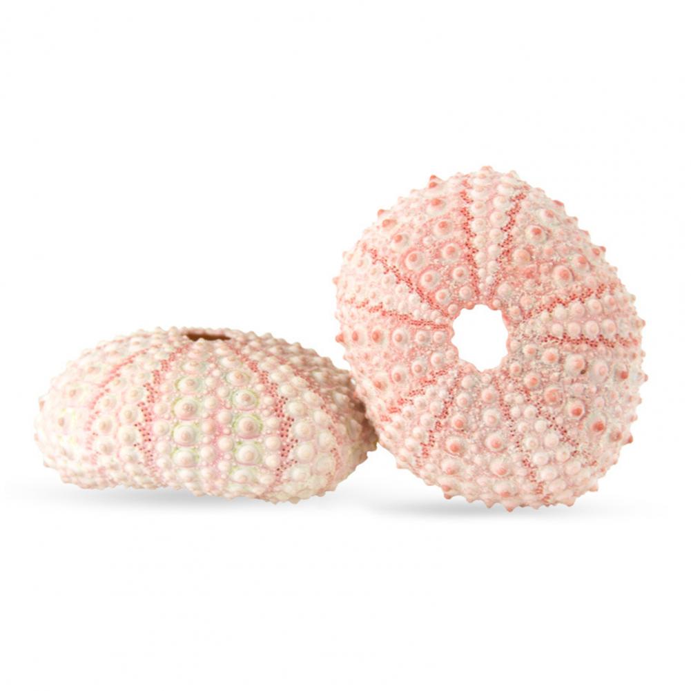 Planted Aquarium Air Stone - 5 cm-6 cm Sea Shell Conch