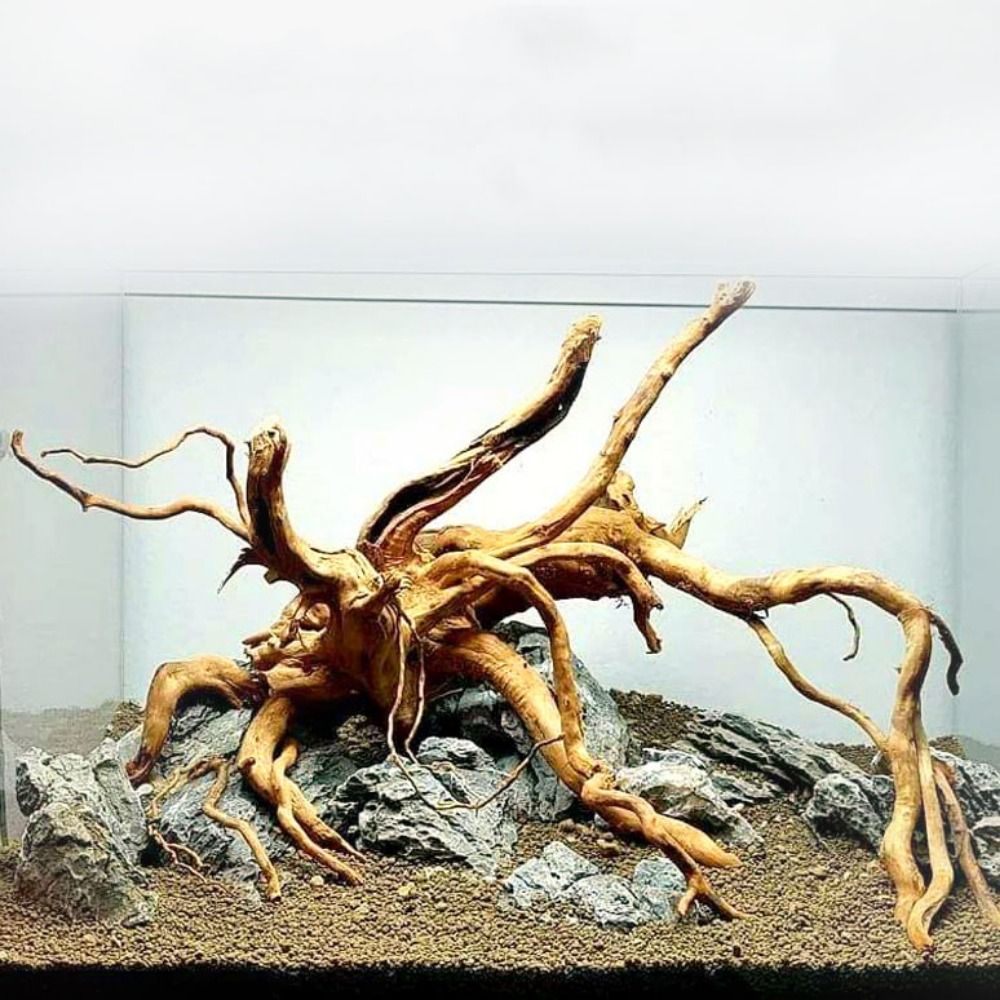 Aquarium Plant Growing - 20-25CM Grote Aquarium Drijfhout Natuurlijke Visbak