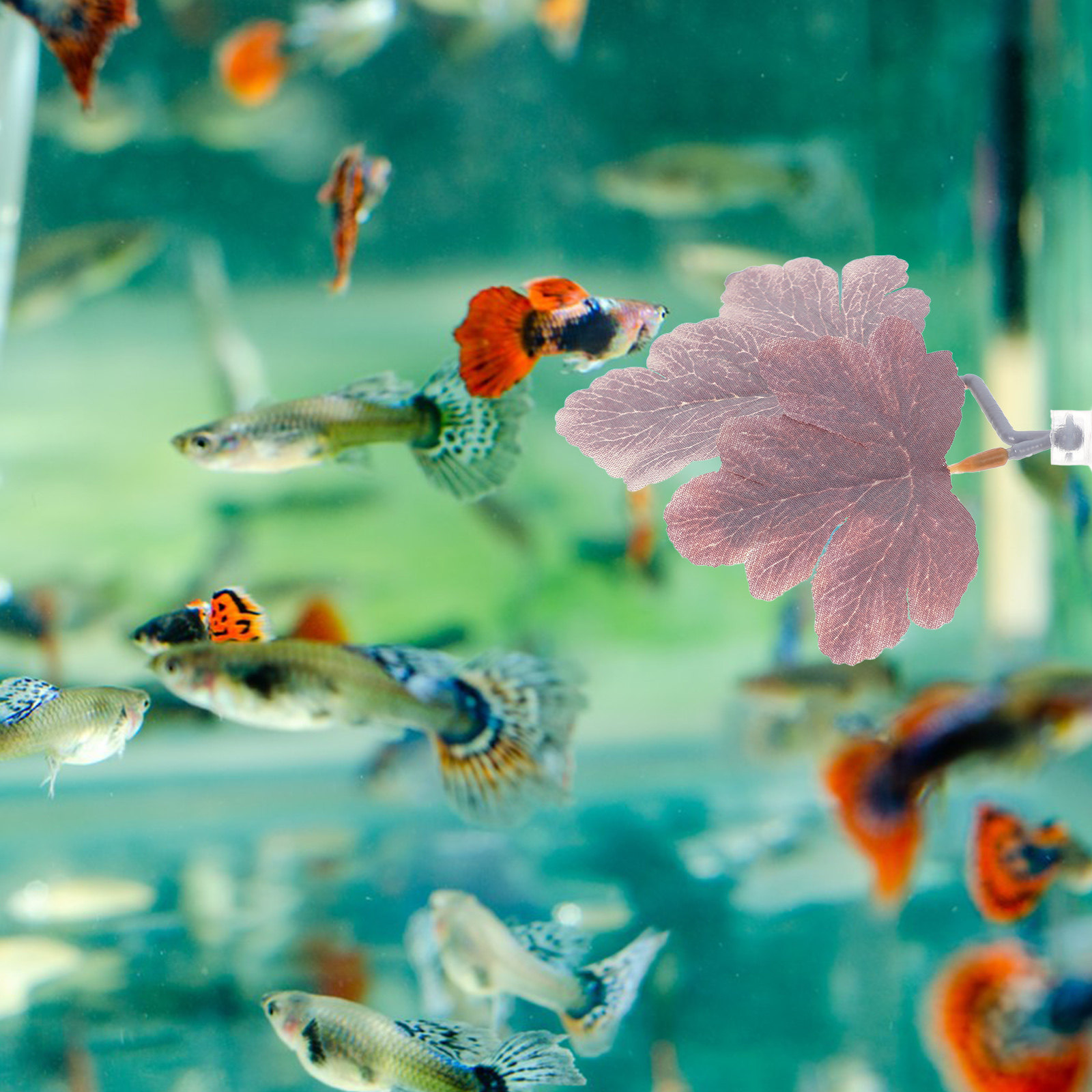 Planted Aquarium Betta - Betta Vis Bladhanger Realistische Kunststof Aquariumplanten