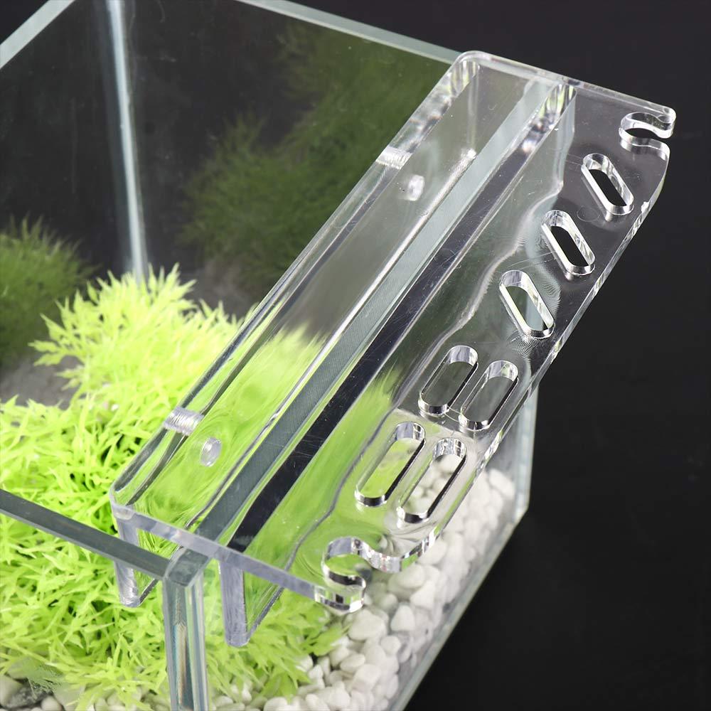 Planted Aquarium Maintenance - Rek voor het opbergen van reinigingsgereedschap,
