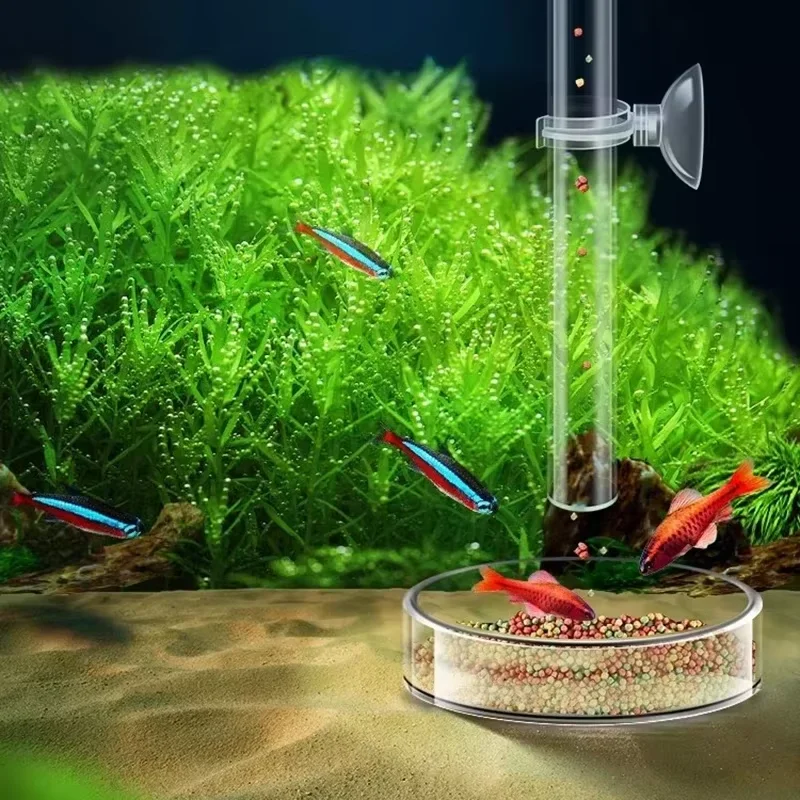 Aquarium glazen voedingsbuis & - Planted Aquarium Youtube recensie en prijs