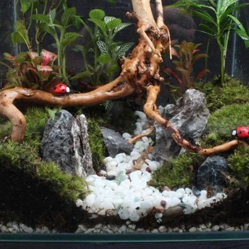Natuurlijke Boomstam Drijfhout - Aquarium Plant Growing recensie en prijs