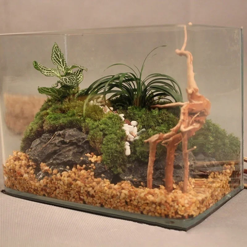 Natuurlijke Boomstam Drijfhout - Aquarium Plant Growing recensie en prijs