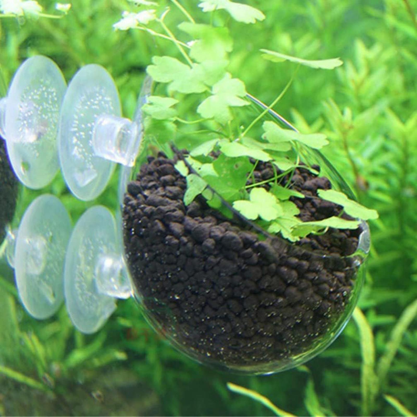 Aquariumplantenhouder Glazen A - Planted Aquarium Maintenance recensie en prijs