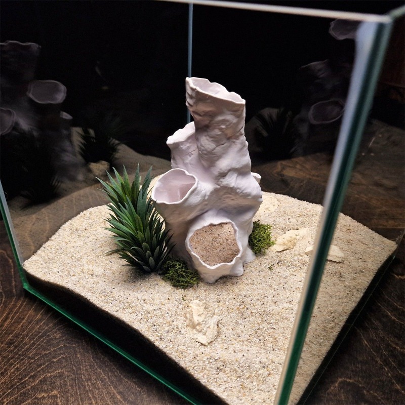 Hete Aanbieding 3D Geprint Kor - Planted Aquarium Betta recensie en prijs