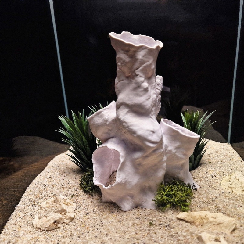 Hete Aanbieding 3D Geprint Kor - Planted Aquarium Betta recensie en prijs