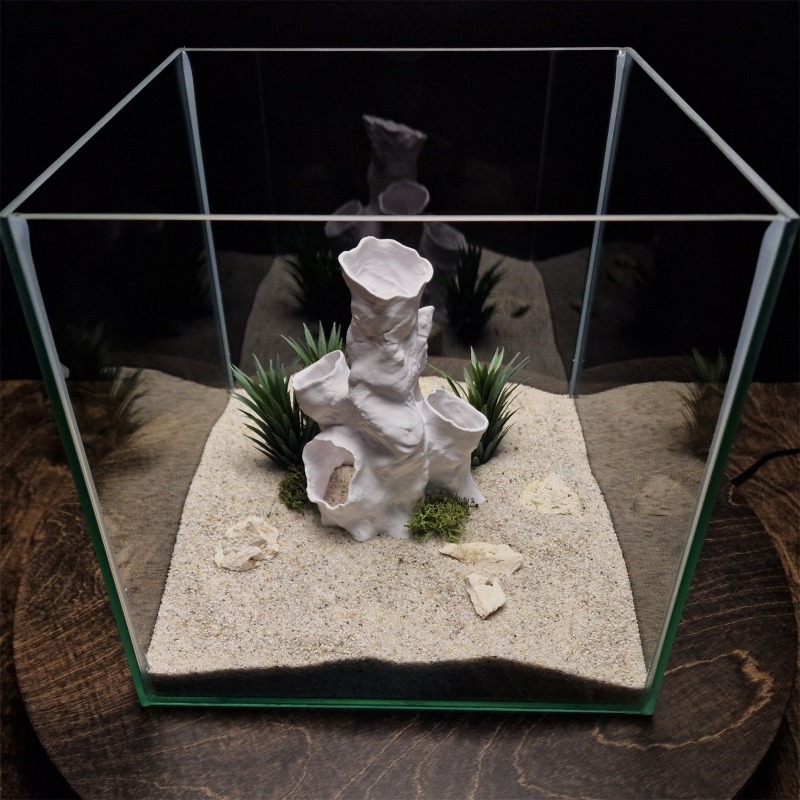 Hete Aanbieding 3D Geprint Kor - Planted Aquarium Betta recensie en prijs