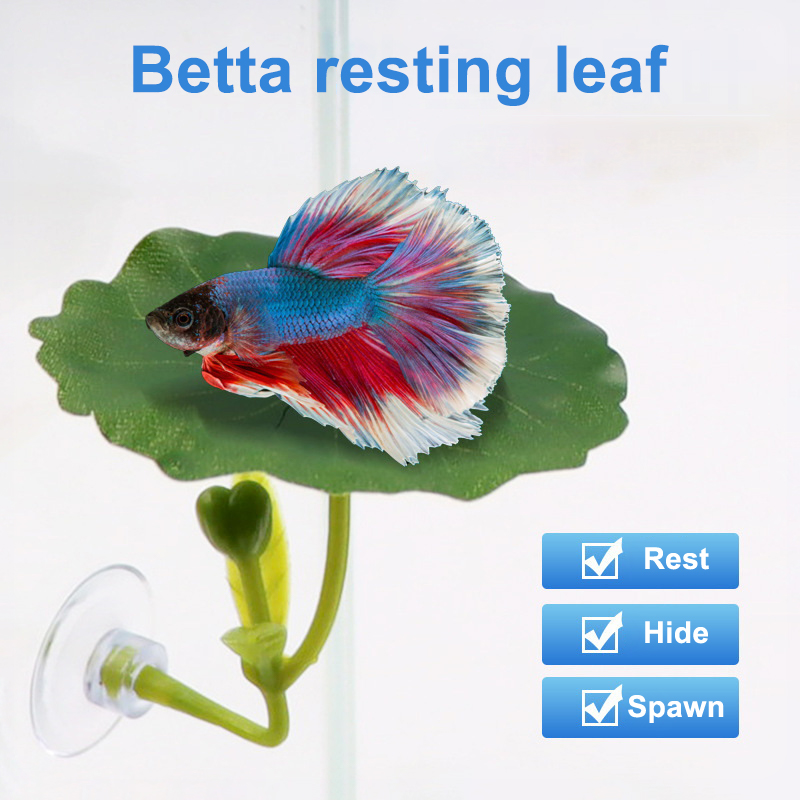 Groene bladhangmat voor betta- - Planted Aquarium Betta recensie en prijs