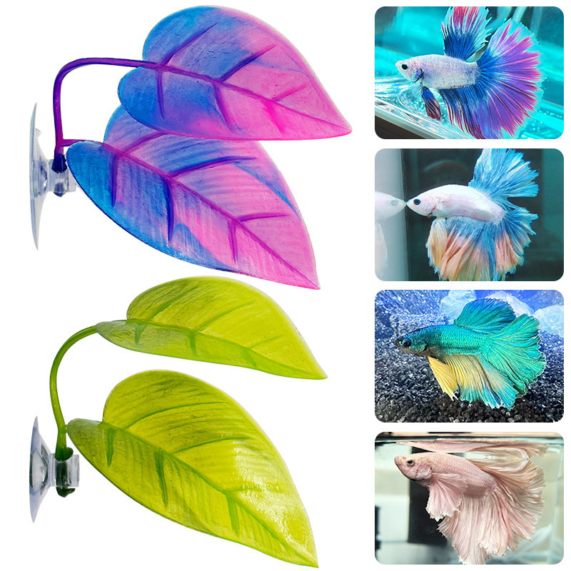 Rustende bladeren, kweekblader - Planted Aquarium Betta recensie en prijs