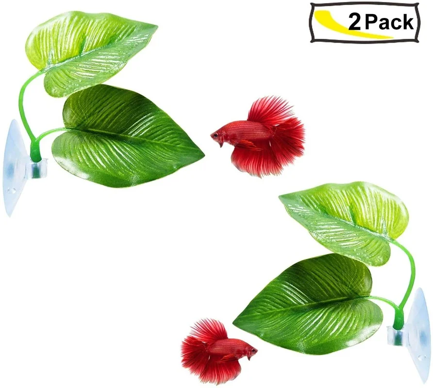 Betta Fish Leaf-hangmat die de - Planted Aquarium Betta recensie en prijs