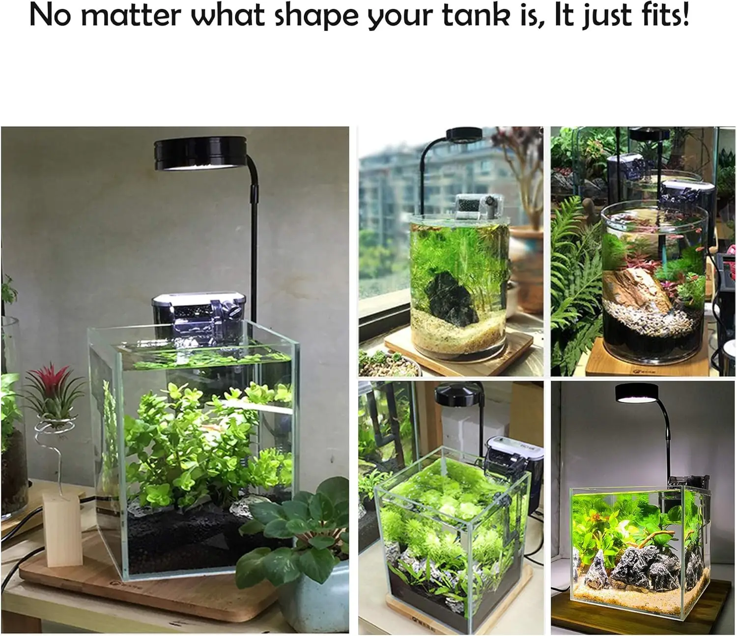 LED-aquariumgroeilicht met bam - Aquarium Plant Growing recensie en prijs