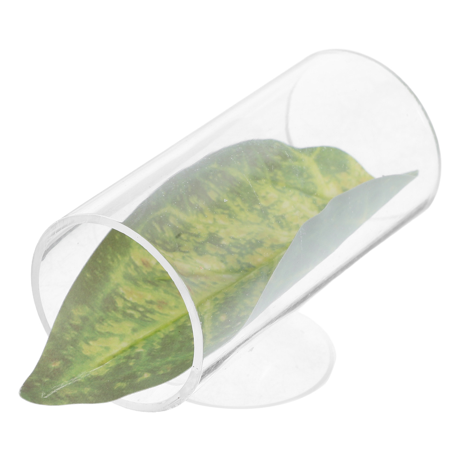 Betta Schuilplaats Grot Aquari - Planted Aquarium Betta recensie en prijs