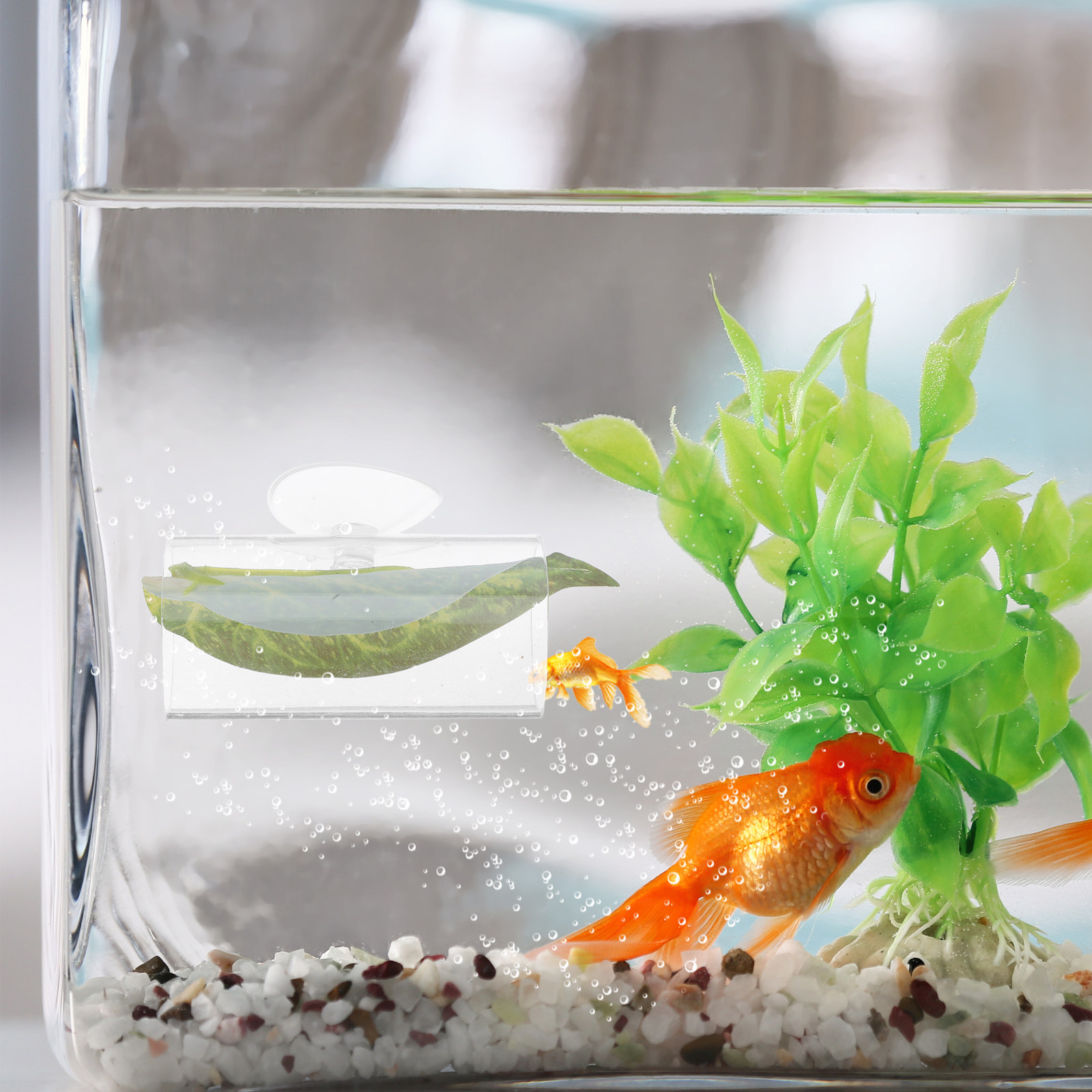 Betta Schuilplaats Grot Aquari - Planted Aquarium Betta recensie en prijs