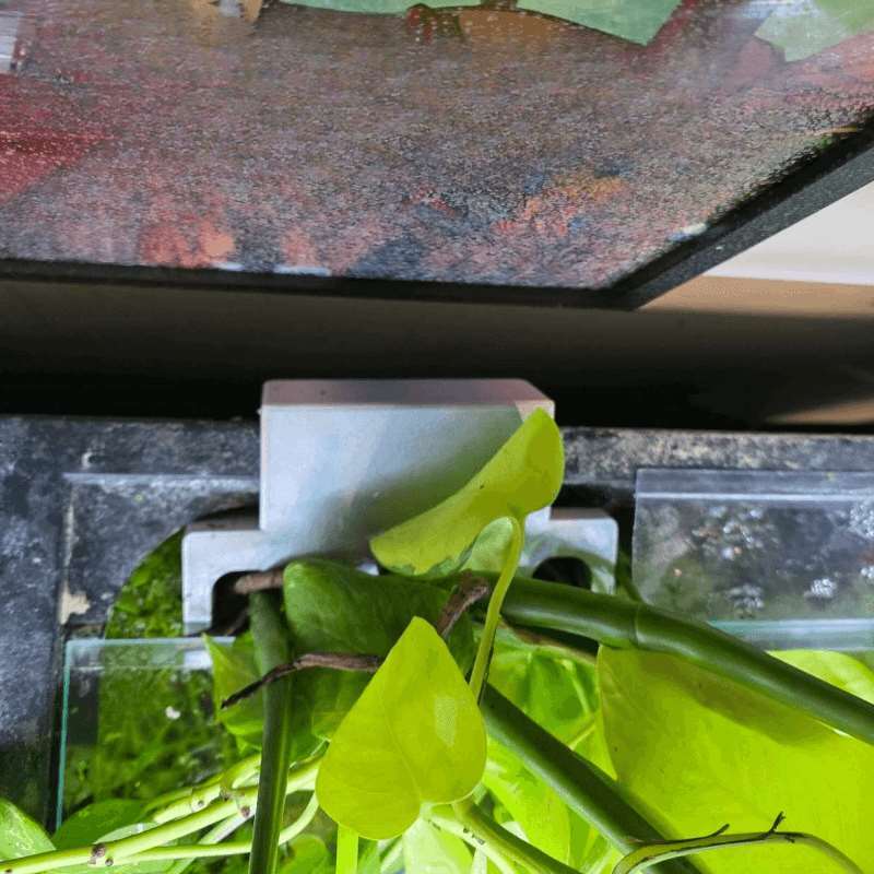 Aquarium zijbeugel voor plante - Aquarium Plant Growing recensie en prijs