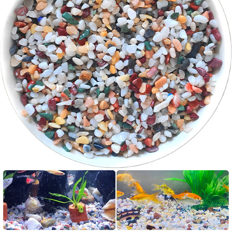 Natuurlijke Grindsteen 200 ~ 1 - Planted Aquarium With Sand recensie en prijs