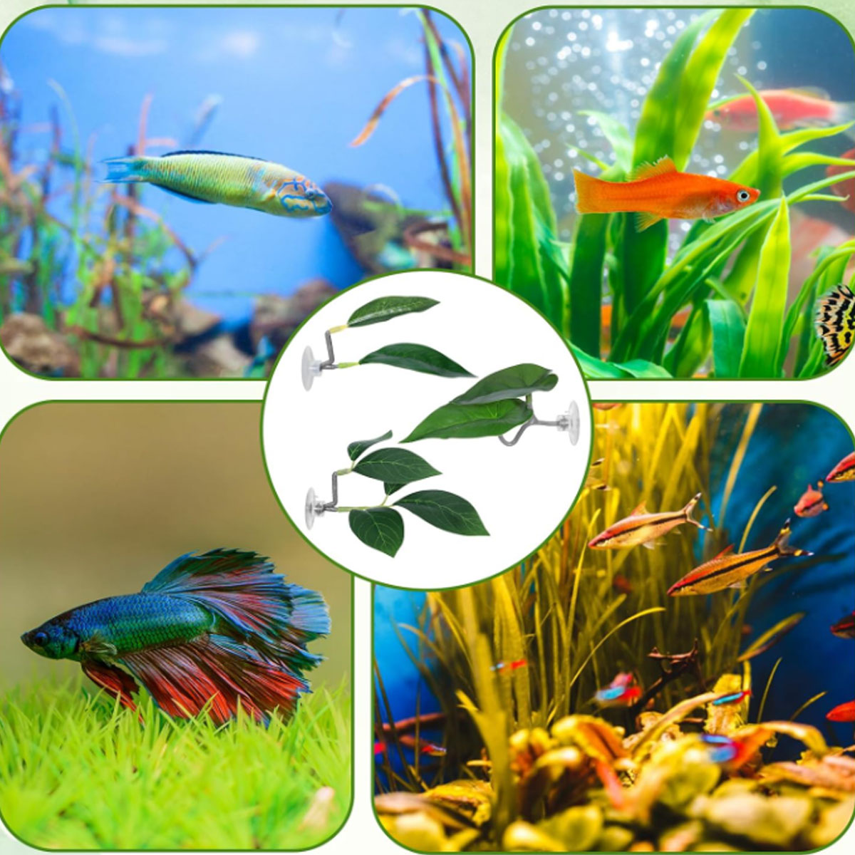 1 PC Betta Vis Hangmat Zacht A - Planted Aquarium Betta recensie en prijs
