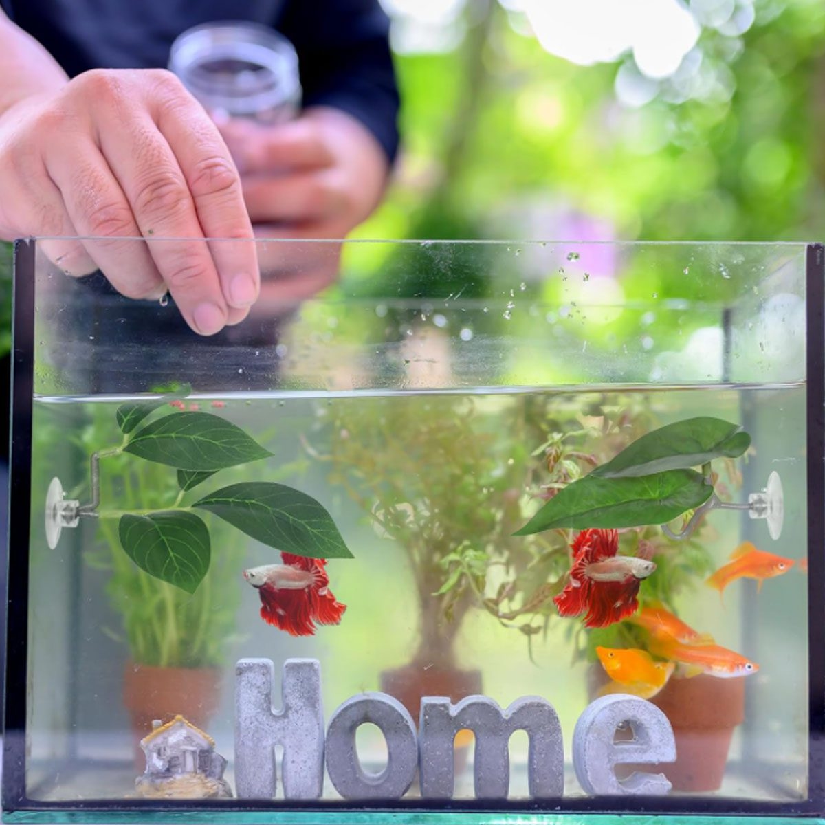 1 PC Betta Vis Hangmat Zacht A - Planted Aquarium Betta recensie en prijs