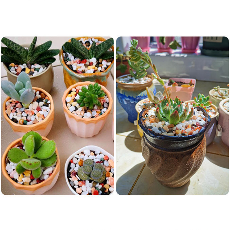 Aquarium Bodemzand DIY Accesso - Planted Aquarium With Sand recensie en prijs