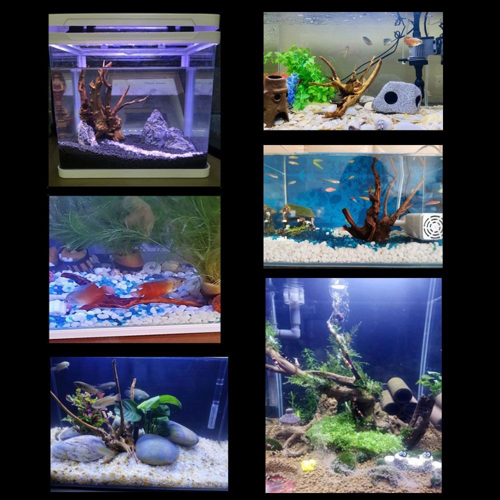 20-25CM Grote Aquarium Drijfho - Aquarium Plant Growing recensie en prijs