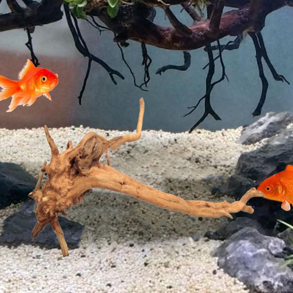 20-25CM Grote Aquarium Drijfho - Aquarium Plant Growing recensie en prijs