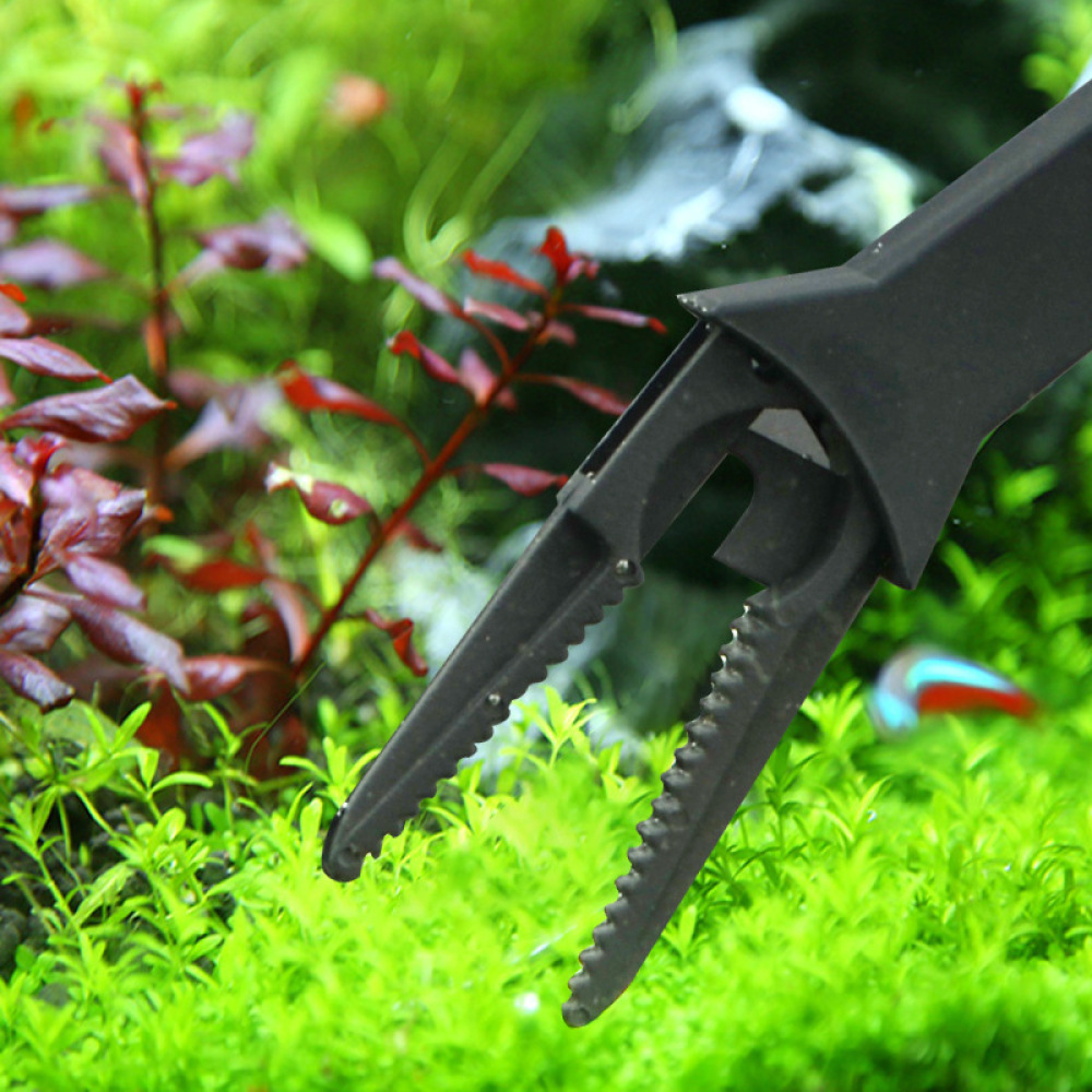 Aquarium Waterplanten Pincet L - Planted Aquarium Maintenance recensie en prijs