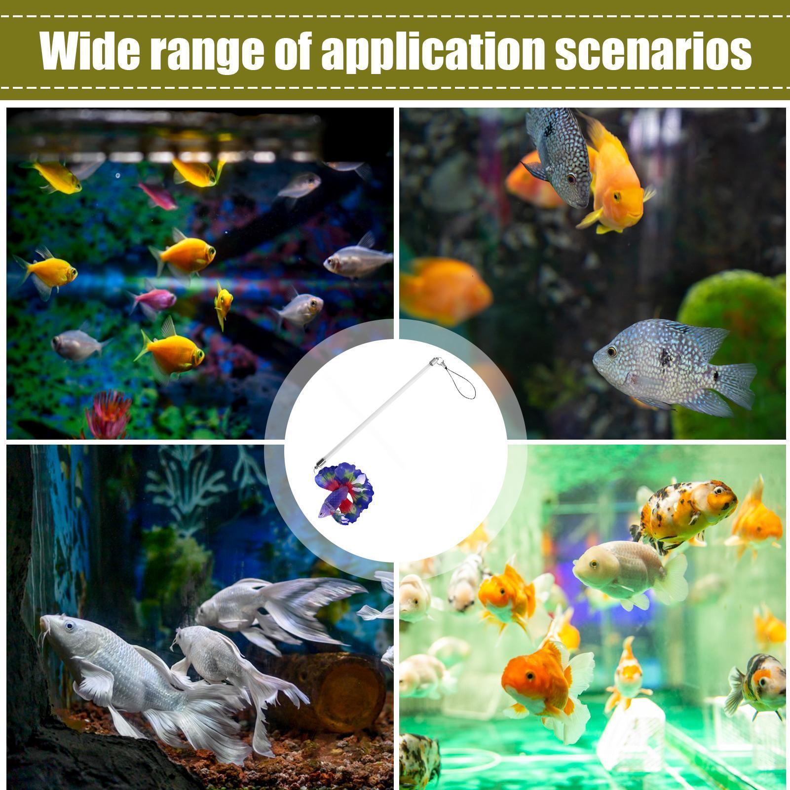 Vis trainingsstaafje voor Bett - Planted Aquarium Betta recensie en prijs