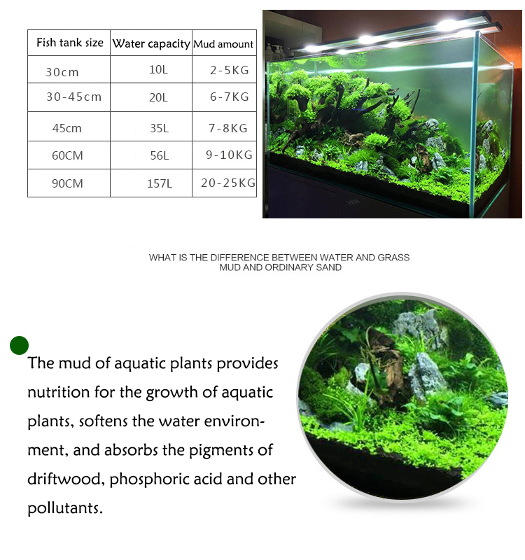 Aquarium Plant Zaden Bodem Fis - Aquarium Plant Fertilizer recensie en prijs