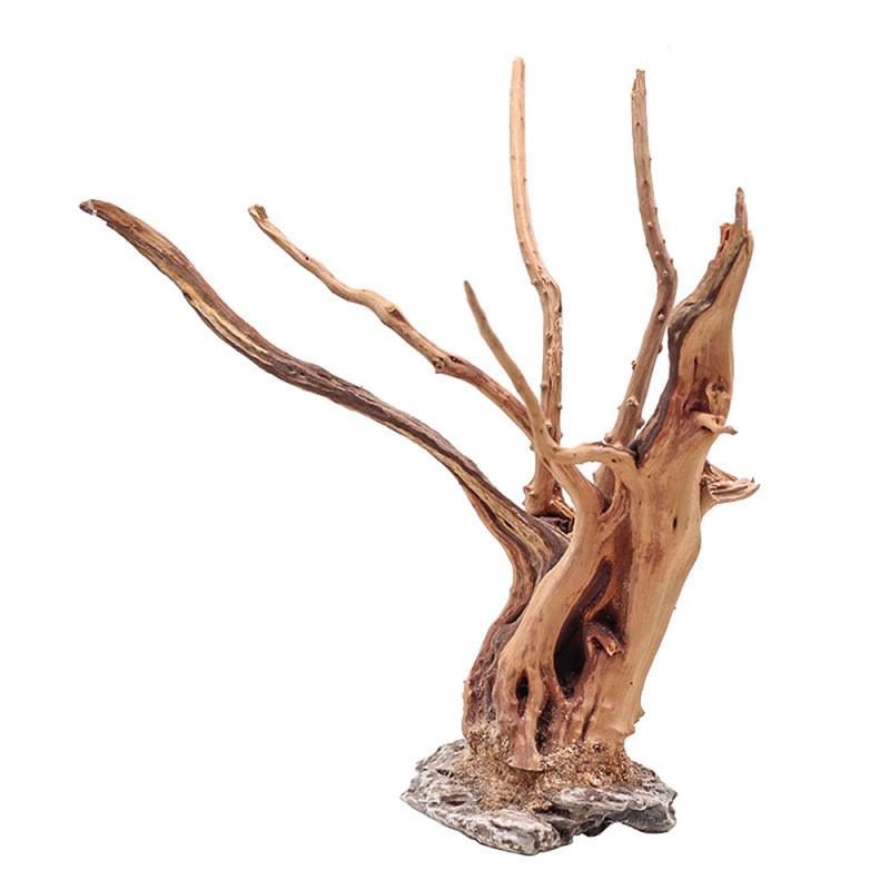 1Pc Aquarium Landschapsarchite - Aquarium Plant Growing recensie en prijs