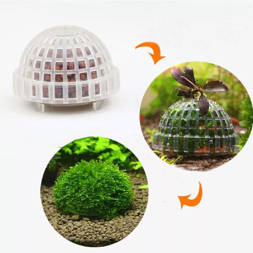 1 st Aquatische Dierbenodigdhe - Planted Aquarium Maintenance recensie en prijs