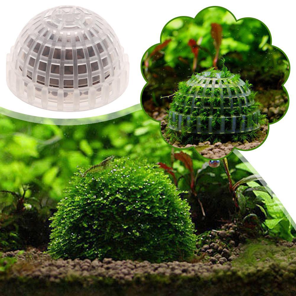 1 st Aquatische Dierbenodigdhe - Planted Aquarium Maintenance recensie en prijs