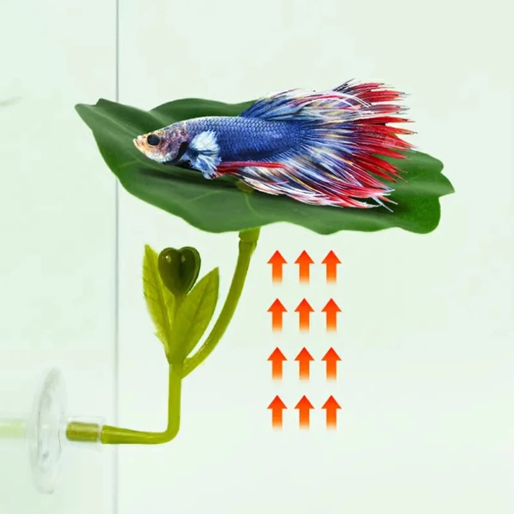 1 stuks groene blad betta vis  - Planted Aquarium Betta recensie en prijs